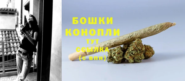 молекула духа Волоколамск