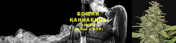 амф Богородицк